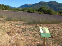 Nudging nel turismo alpino