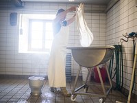 Per un'economia più verde