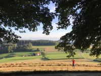 Piccoli fuochi, grandi sfide