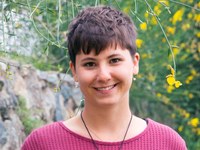 Punto di vista: Le Alpi non sono una fonte di energia illimitata!