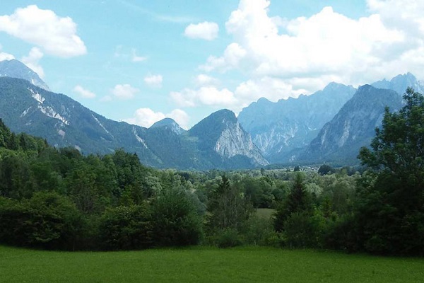 Quali le cause della perdita di biodiversità