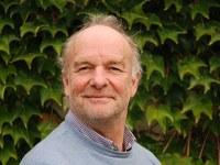 Quello in cui le api sono superiori a noi