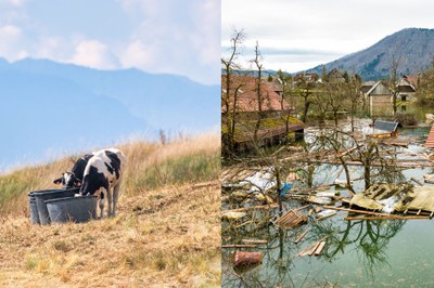 Rischi climatici: prepararsi anziché aspettare