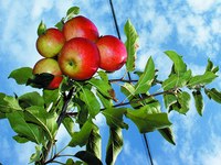 Stagione propizia per le iniziative civiche