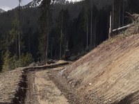 Stop alla strada nel parco naturale