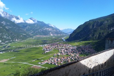 Un picolo comune ferma l'autostrada