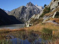 Una decisione storica per le torbiere