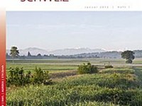 La connessione delle superfici ecologiche favorisce le cavallette