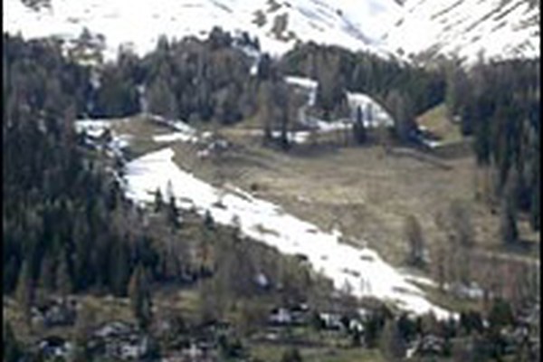 Rastlinsko pestrost ogrožajo teptalniki in umetni sneg