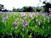 Mednarodna konferenca o upravljanju območij NATURA 2000