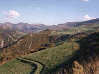 Konferenca o gorskih območjih: kohezija za rast