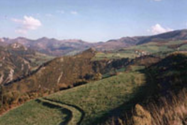 Konferenca o gorskih območjih: kohezija za rast