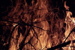 V plamenih na stotine hektarov gozda v Italiji