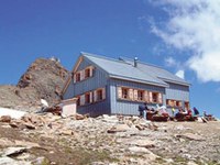 Obilje izvirnih idej vodi v uspešno izvajanje