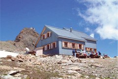 Obilje izvirnih idej vodi v uspešno izvajanje