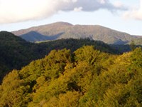 Zimske olimpijske igre na Kavkazu