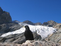 Alpski teden 2008: "Inovacije [v] Alp[ah]"