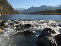 Več življenja za Alpski Ren