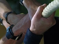 Alpe kot makroregija, a le s skupno identiteto