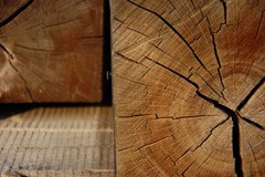 Trajnostno oblikovanje gospodarstva