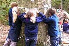 V Omrežju občin ubrali nove poti na področju varstva podnebja