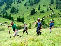 Nova zavarovana območja v Alpah