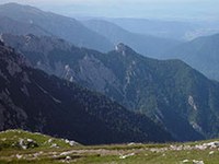 Slovenija pripravlja zeleno strategijo