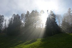 50 let naravnih parkov v Avstriji