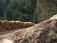 Podeljena alpska nagrada za varovalni gozd