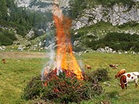 Trženje, sečnja, drobnice - vse za varstvo planin