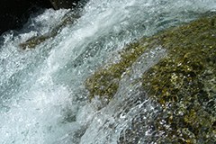 Da bo dovolj vode za vse