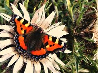 Prizadevanja Omrežja občin za varstvo narave