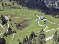 Spodbujanje planinskega pašništva