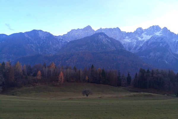 Alpski sistem podnebnih ciljev - priporočila za slovenski gorski gozd