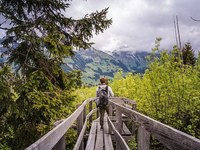 EUSALP brez švicarskih kantonov?