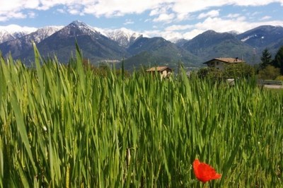 Italijanske Alpe med svetlobo in senco