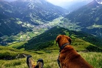 Kaj nam pripoveduje pokrajina