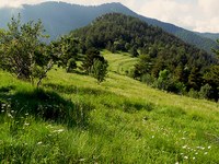 Kako preprečevati drobitev zemljišč?