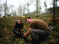 Model upravljanja območja Jelovice