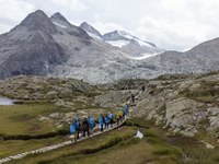 Potovanje skozi ogroženi ledeniški svet Alp