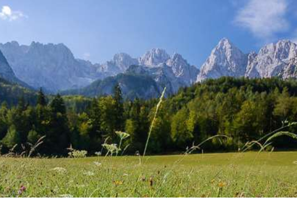 Predstavitvena konferenca - SMER TNP