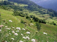 Sistem izmenjave na regionalni ravni