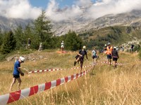 Sporni projekti za obnovljive vire energije