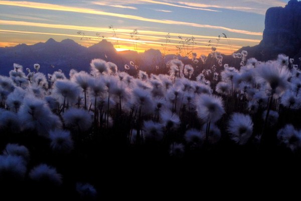 Vodenje obiskovalk in obiskovalcev v alpskem prostoru