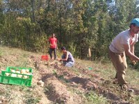 Ko skrbimo za pokrajino, skrbimo tudi za medsebojne odnose