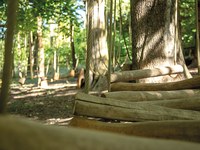 Občinski proračun na razglednici