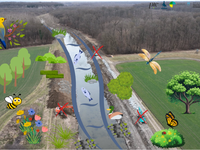 Prilagajanje podnebnim spremembam v sodelovanju z naravo