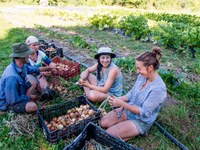 EmpowerLIFE – naj bo enostavno!