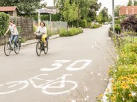 Podnebno odporen cestni prostor