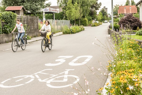 Podnebno odporen cestni prostor